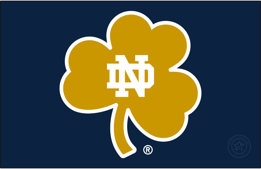 Notre Dame Fighting Irish 2015-Pres Secondary Logo t shirts iron on transfers